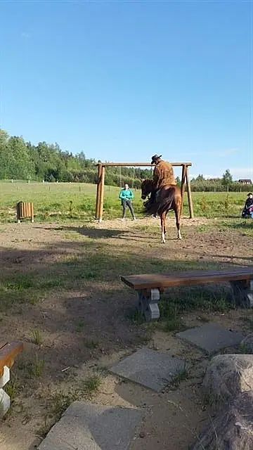 Piknik rodzinny maj 2015 — zdjęcie 10