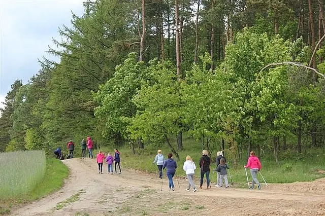 Piknik rodzinny maj 2015 — zdjęcie 12
