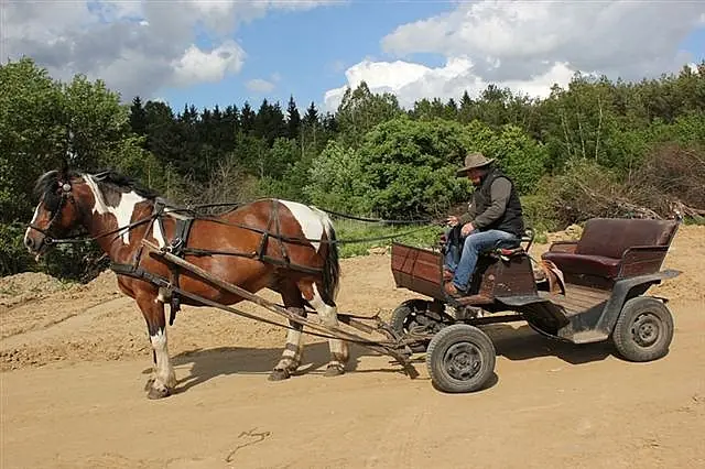 Piknik rodzinny maj 2015 — zdjęcie 13