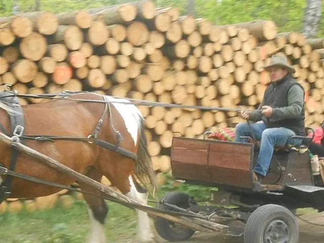 Piknik rodzinny maj 2015 — zdjęcie 15