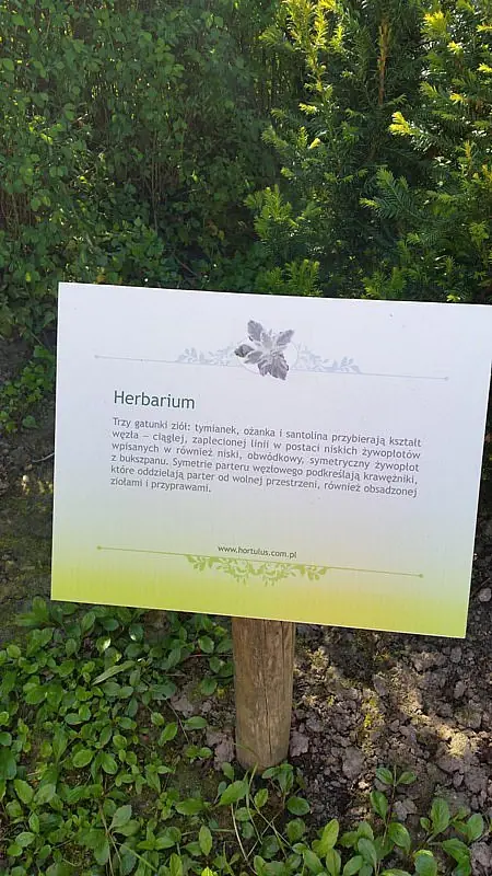 Wycieczka do ogrodów HORTULUS 2017 — zdjęcie 11