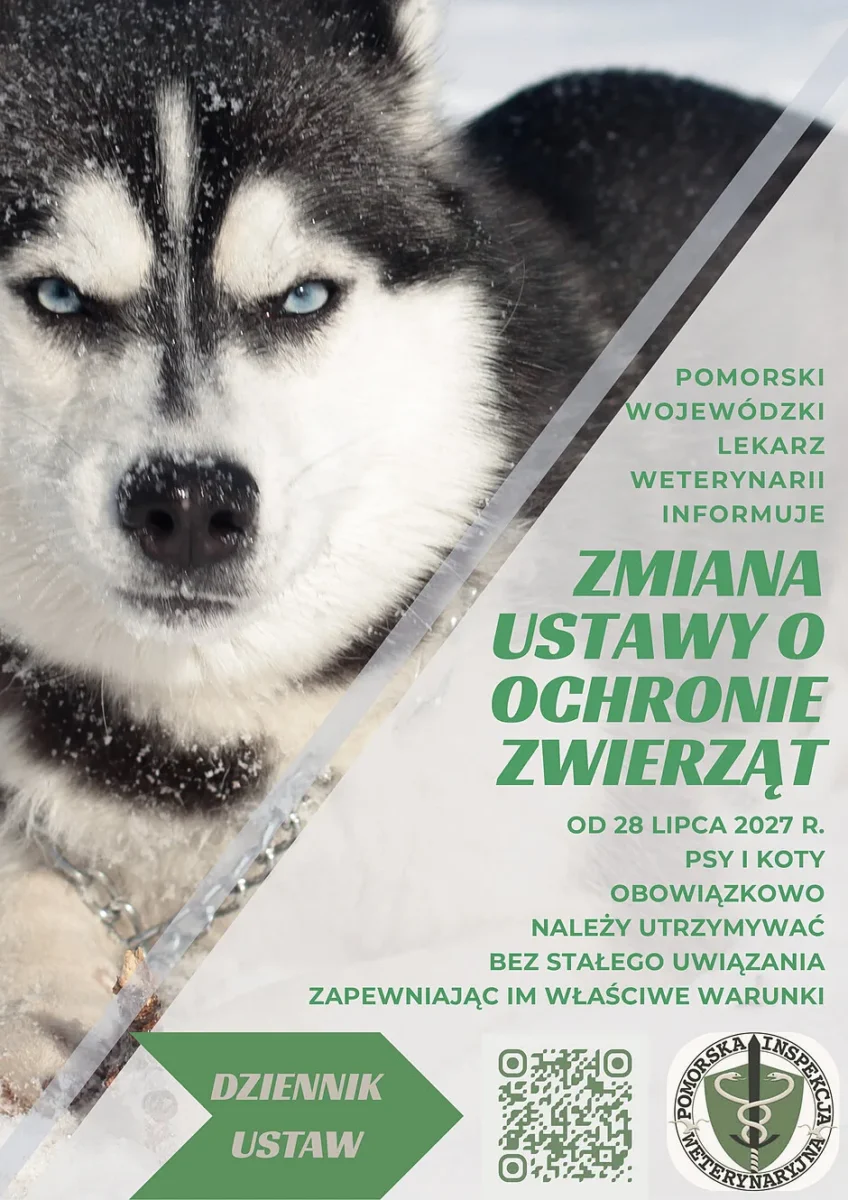 Plakat Pomorskiej Inspekcji Weterynaryjnej: od 28 lipca 2027 r. psy i koty należy utrzymywać bez stałego uwiązania, zapewniając im właściwe warunki